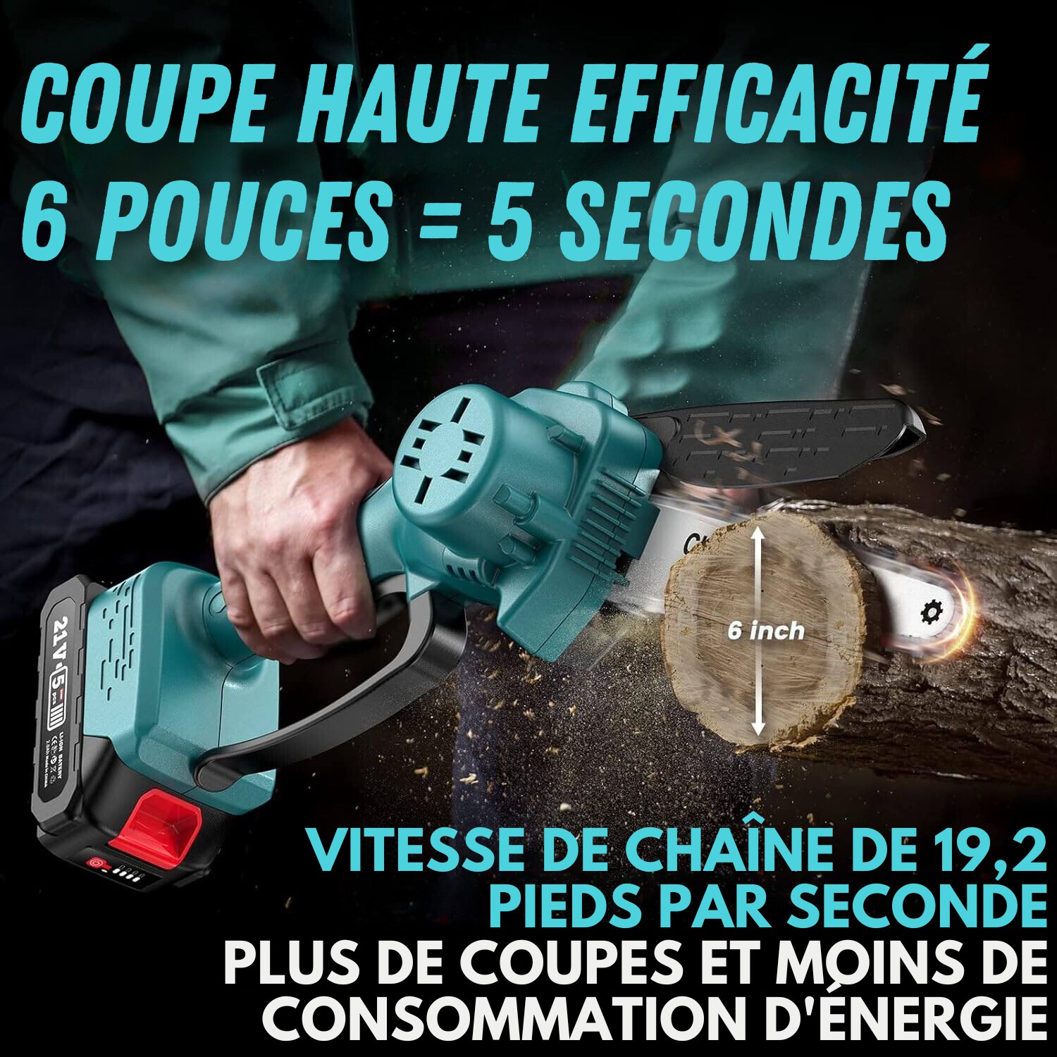 2 En 1 Cordless 8 Pouces Chainsaw Avec Pole Saw