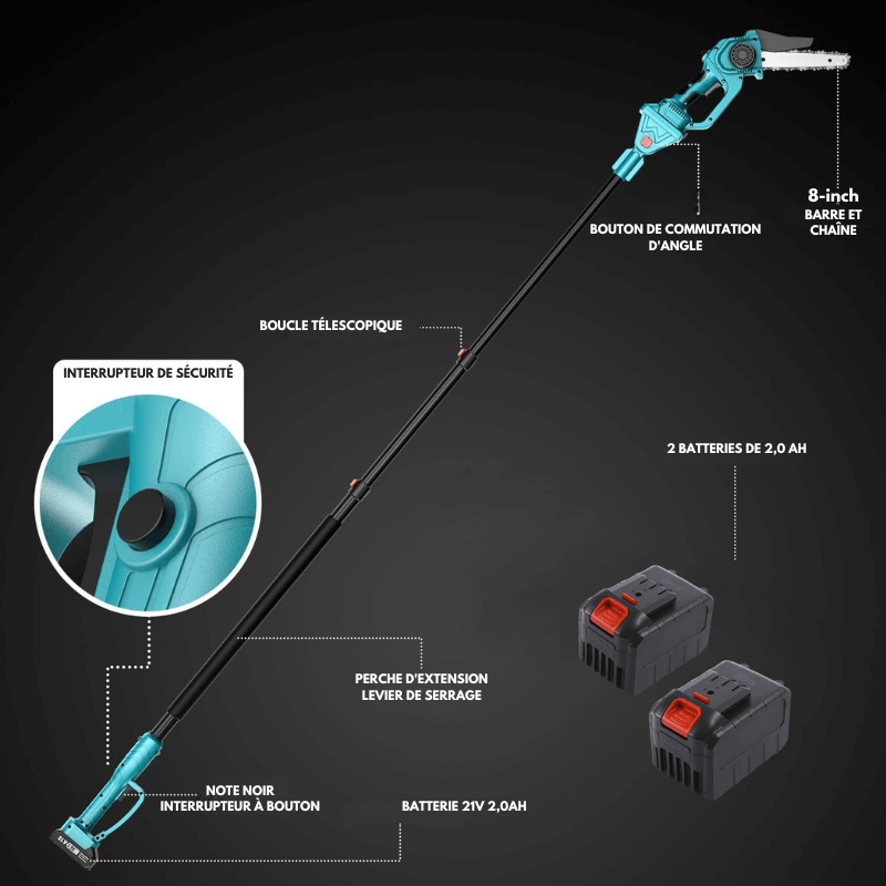 2 En 1 Cordless 8 Pouces Chainsaw Avec Pole Saw